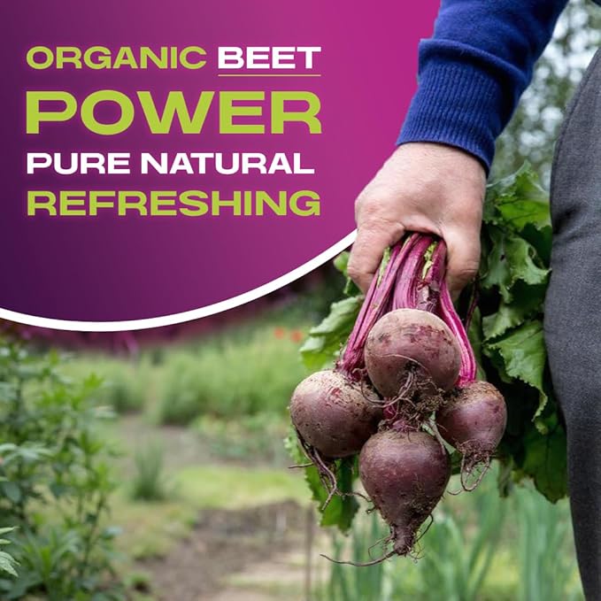 BEET IT Organic Beet Juice 8.5 Ounce (Pack of 12) GMO-Free 100% Natural Beet Juice Organic - Gluten Free No Added Sugar Not from Concentrate