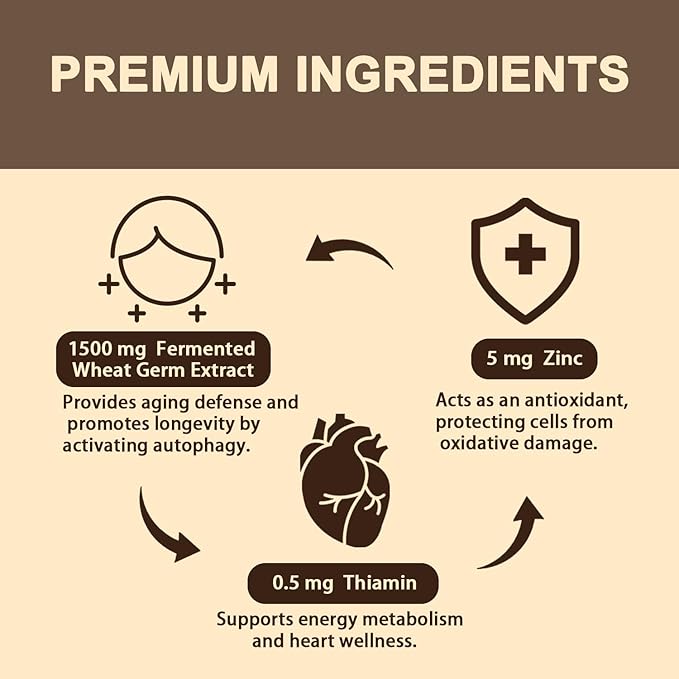 Spermidine Supplement 15 MG - 99% Purity High Absorption 1500 MG Fermented Wheat Germ Extract with Zinc &amp Thiamin Spermidine for Men &amp Women - Cellular Renewal Aging Defense Energy 60 So