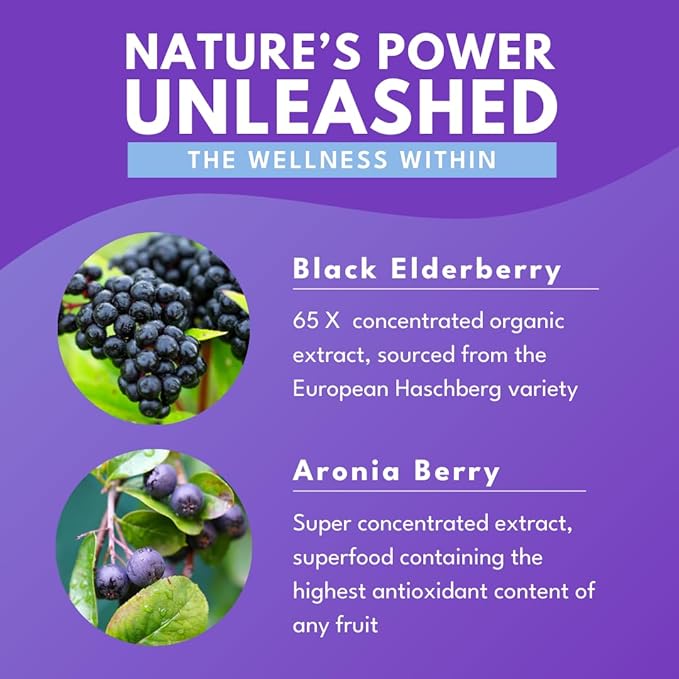 Bold Botanica Elderberry Elixir – 65X Concentrated Extract – Sugar-Free &amp Kid Friendly – Immune Support Elderberry Syrup for Kids &amp Adults with Aronia Berry &amp Monk Fruit – 4 fl oz