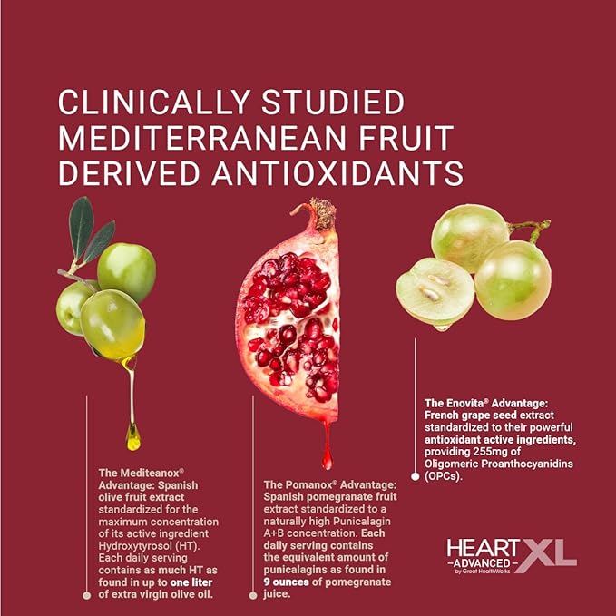 OmegaXL HeartXL Advanced - Heart Health Supplement - Three clinically Studied Mediterranean antioxidant extracts - Supports Blood Pressure Cholesterol and Circulatory Health (60 Capsules)