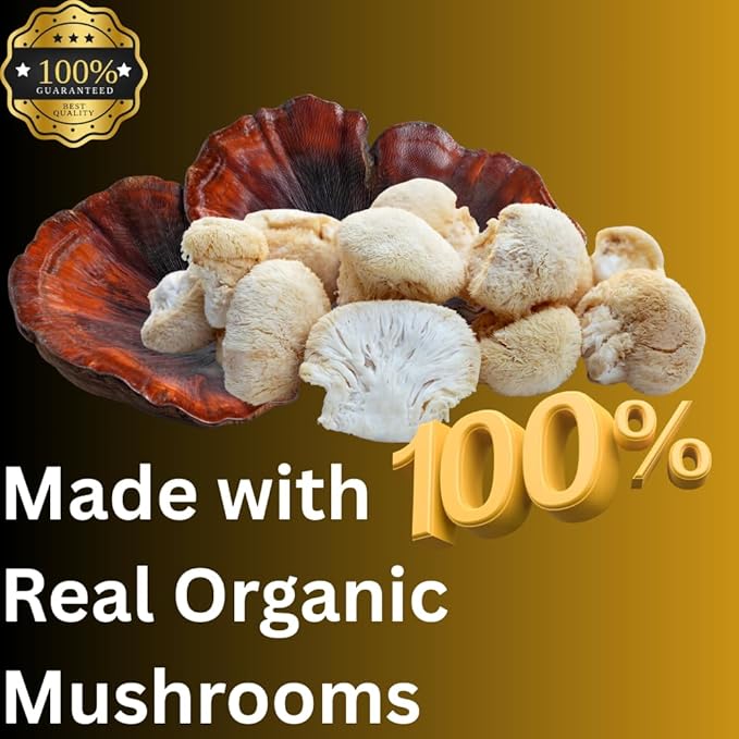 Evening Routine Mushroom Tincture High Potency Double Extracted 60 Daily Doses Reishi and Lion's Mane