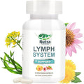 Lymphatic Drainage Supplement with DandelionEchinacea &amp Bromelain Extracts Lymph System Support for Men and Women - 60 Count Bottles (1)