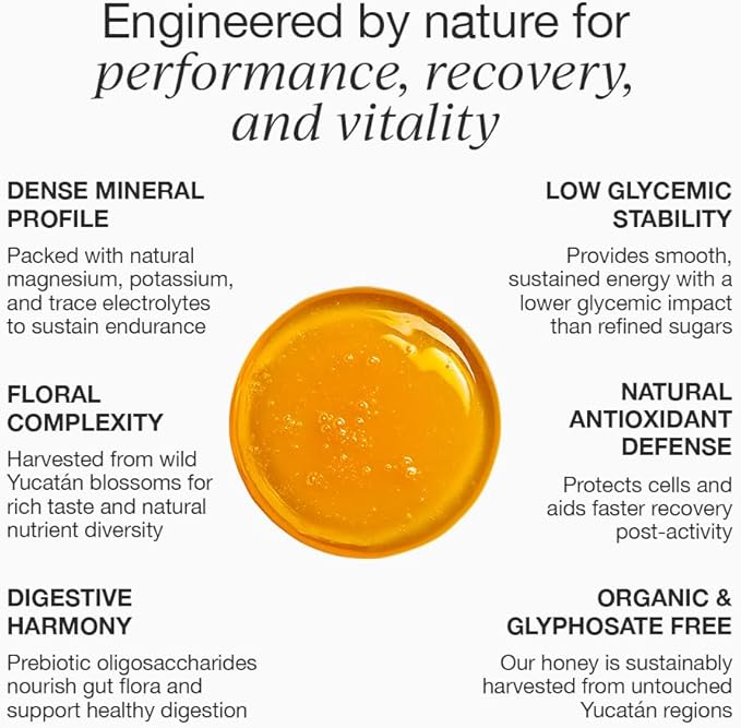 HNY+ Buzz Organic Honey Energy Gel with Electrolytes Magnesium Sea Salt Potassium &amp Green Tea Caffeine Gluten Free &amp Vegan Workout Gels for Gym Running &amp Hiking 50mg Caffeine 12 P