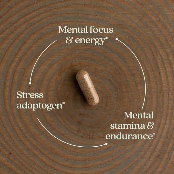 New Chapter Rhodiola Force 300mg with Potent Vegan Rhodiola for Mental Focus &amp Stamina Endurance + Mood Support + Stress Adaptogen + Non-GMO Ingredients - 30 Count
