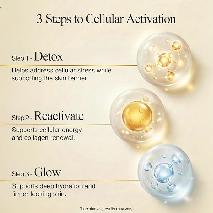 BI-SU Bird's Nest Essence Collagen Jelly Stick with Vitamin C Fish Collagen Peptides Anti Aging Maintain Skin Elasticity Immunity Support Japan Beauty Skin Care Secret Cranberry Flavor 7 PCS