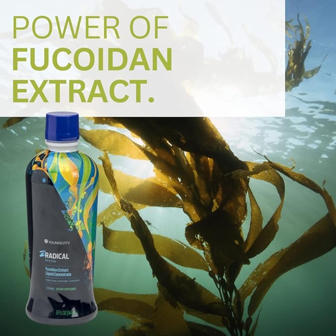 Youngevity ZRadical™ Fucoidan - Organic Maritech Fucoidan Extract &amp Cofactors (Vitamin C B12 B6 Dragonfruit Wolfberry Milk Thistle) - Immune Support - Super Antioxidant 32 Fl Oz (Pack of 1)