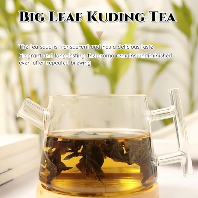 JINQI 2bottles Bitter Tea Kuding- 苦丁茶 大叶苦丁茶4.93oz/140g(2.46oz/70g*2) Chinese Herbal Green Tea Clearing Heat Holiday Gifts Tea Gifts