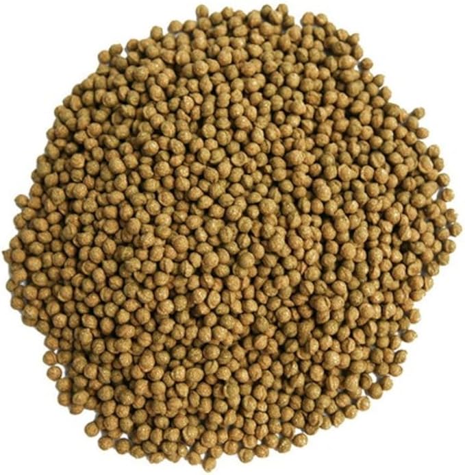 Organic Natural Pure Glasswort (Samphire Salicornia Herbacea) Extract Herbal Pills Granule Ball - Concentrated Lump Grain Powder -5.29 Ounce(150g)