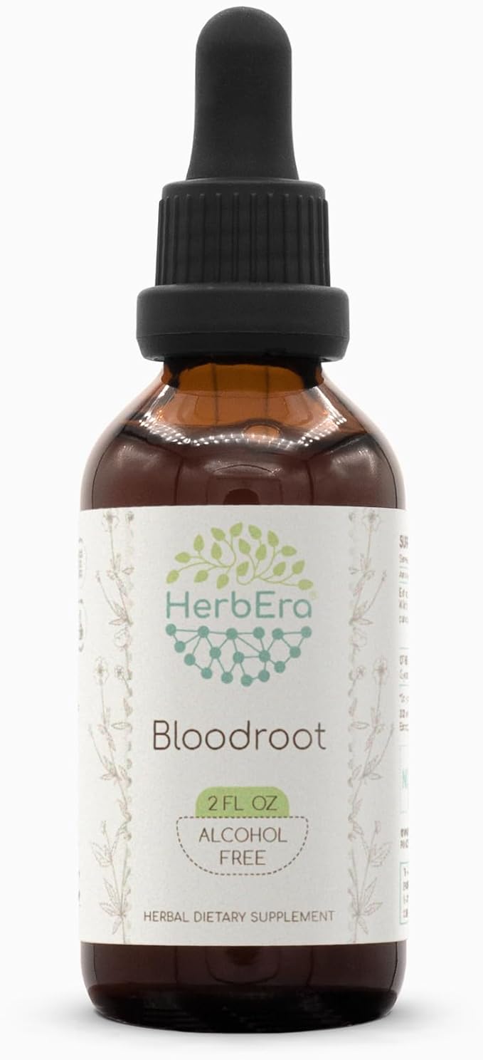 HerbEra Bloodroot Tincture B60 Alcohol-Free Extract Super-Concentrated Responsibly farmed Bloodroot (Sanguinaria Canadensis) Dried Root (2 Fl Oz)