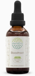 HerbEra Bloodroot Tincture B60 Alcohol-Free Extract Super-Concentrated Responsibly farmed Bloodroot (Sanguinaria Canadensis) Dried Root (2 Fl Oz)