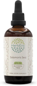 HerbEra Solomon's Seal B120 Alcohol-Free Herbal Extract Tincture Concentrated Liquid Drops Natural Solomon's Seal (Polygonatum odoratum) 4 fl oz
