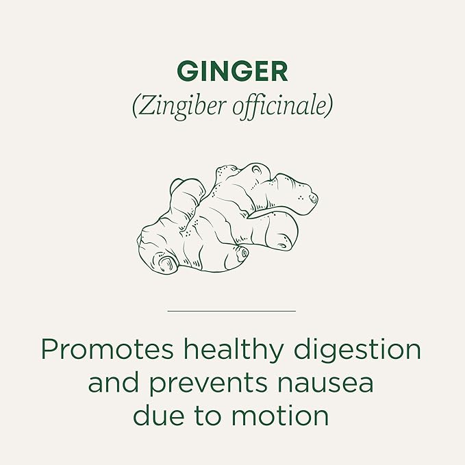 Traditional Medicinals Tea Organic Ginger Healthy Digestion Pleasantly Spicy &amp Warming Kosher Non-GMO Caffeine-Free Compostable - 96 Tea Bags (6 Pack)