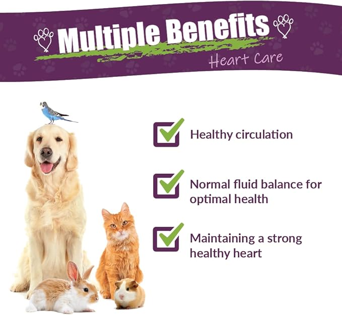 Amber NaturalZ Hawthorn &amp Dandelion Herbal Supplement for Dogs Cats Birds Rabbits and Guinea Pigs | Supports Heart Health Circulation and Fluid Balance | Natural Cardiovascular Care 4 FL Oz