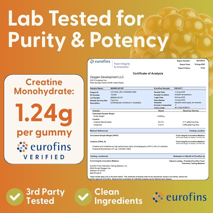 SuperMush Daily Creatine Gummies with Cordyceps - Daily Superfood - Sugar Free Creatine Monohydrate Supplement for Strength Focus and Recovery – Vegan Gummy Formula Mango Flavor 20-Day Supply