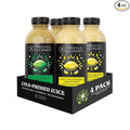 Twisted Alchemy Cold Pressed Culinary Basics Juice 4-Pack – 2 Persian Lime &amp 2 Eureka Lemon – All Natural Non-GMO No Sugar Added Preservative Free – 16 oz Bottles