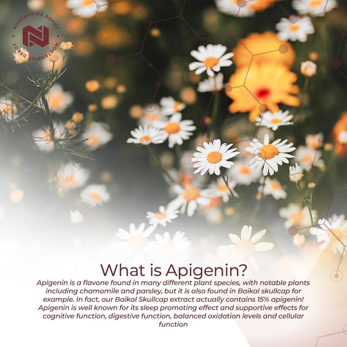 Nootropics Depot Apigenin Capsules | 200mg | 120 Count | &gt98% Apigenin | Supports Healthy Stress Levels