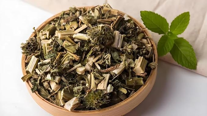 President Brand Motherwort Herb 1lb New Packaging Motherwort Herb Yi Mu Cao 16oz 益母草