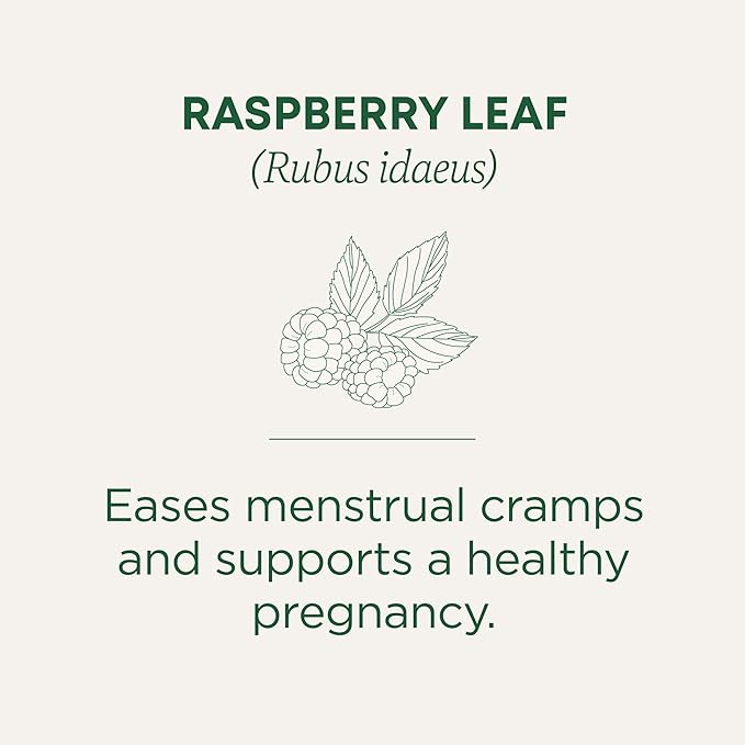 Traditional Medicinals Organic Raspberry Leaf Tea Supports Healthy Pregnancy and Soothes Menstrual Cramps (Pack of 6) - 96 Tea Bags Total