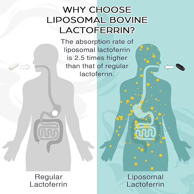 Liposomal Bovine Lactoferrin 1000 mg - Higher Absorption - for Iron Absorption &amp Immune Function Lactoferrin Supplements for Adults 60 Softgels