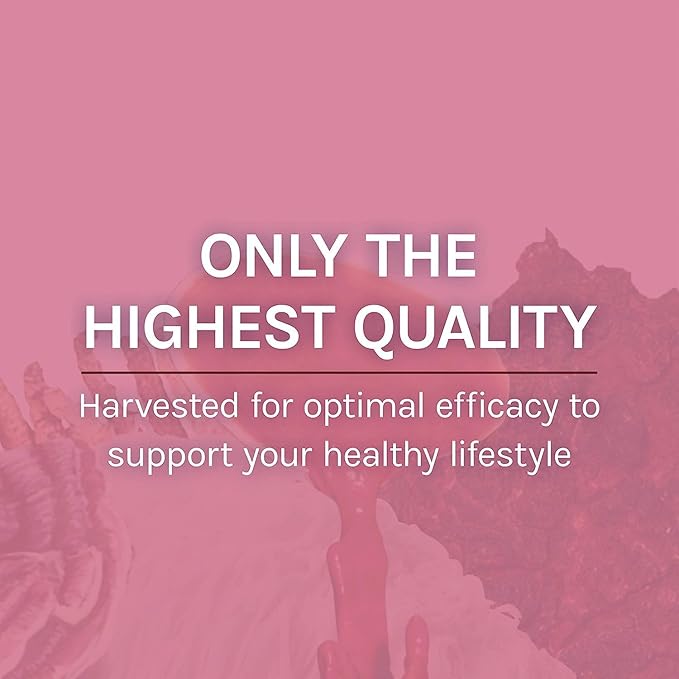 Host Defense MycoBotanicals Microbiome* Powder - Digestive &amp Immune Health Support Supplement - Gut Health Supplement with Turkey Tail Lion's Mane &amp Reishi - 3.5 oz (33 Servings)*