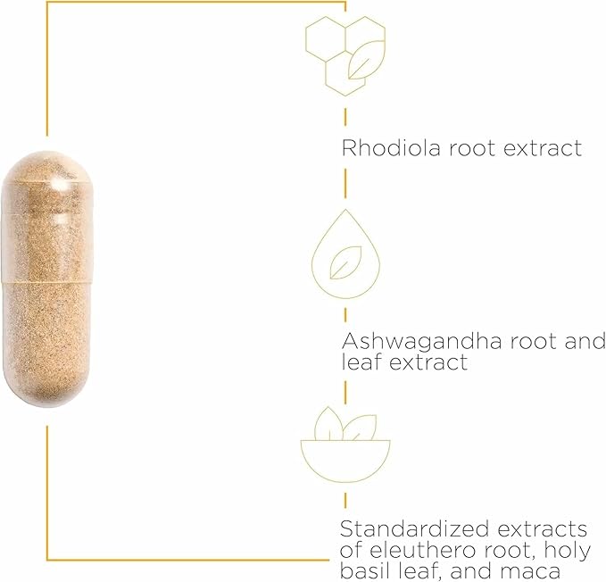Integrative Therapeutics HPA Adapt - Adaptogenic Supplement for Stress Support* - Includes Ashwagandha Rhodiola &amp Other Adaptogenic Herbs* - Vegan Dairy-Free &amp Gluten-Free - 240 Capsules