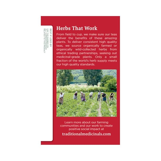 Traditional Medicinals Organic Throat Coat Herbal Tea Supports Throat Health (Pack of 4) - 64 Tea Bags