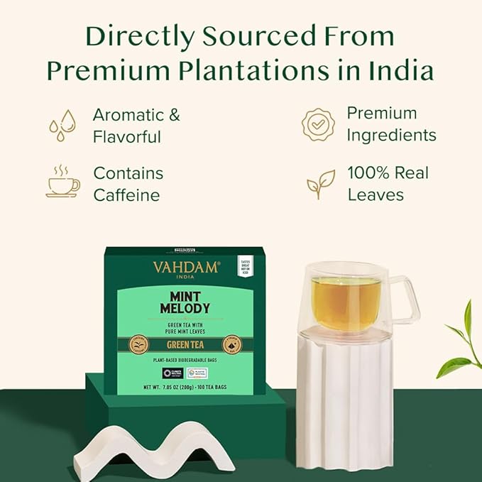 VAHDAM Mint Green Tea Bags (100 Count) 100% Pure Leaf Tea High Grown Low Caffeine Non GMO Gluten Free | Plant-Based Pyramid Tea Bags | Direct from Source
