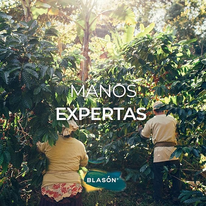 Blason Jaltenango Chiapas Ground Coffee 12 Ounces [2 Pack] Resealable Bags