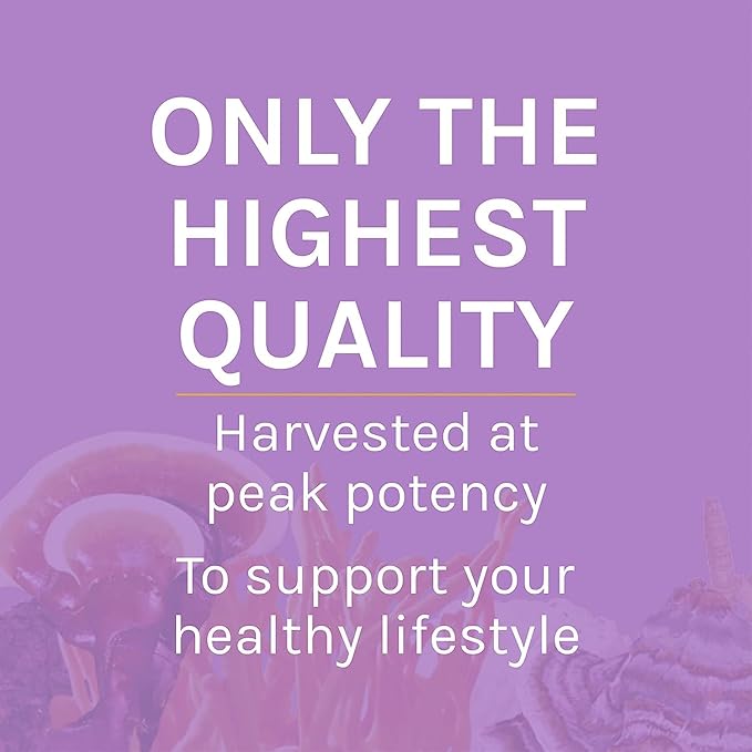Host Defense Lion's Mane Powder - Brain Health Support Supplement - Mushroom Supplement to Support Focus &amp Memory Function - Immune &amp Nervous System Support Supplement - 3.5 oz (66 Servings)*