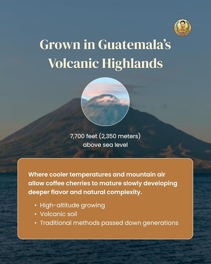 Via Guatemala Coffee – Guatemala Specialty Ground Coffee with Cardamom Medium Roast Single-Origin Arabica 16 oz