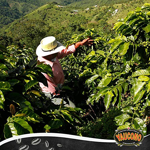 Yaucono Whole Bean Coffee Arabica Medium Roast Bagged 2 Pound (Pack of 2)