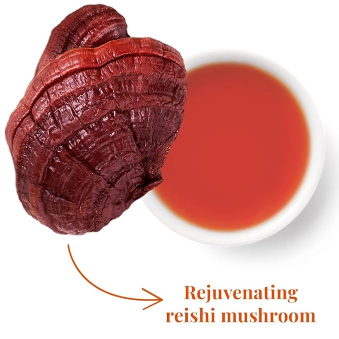 The Republic of Tea - Restore and Reset SuperAdapt Herbal Tea 250 Tea Bags Organic Caffeine Free Reishi Mushroom and Cocoa Herbal Tea
