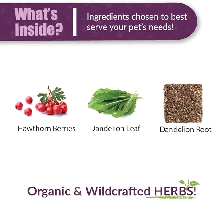 Amber NaturalZ Hawthorn &amp Dandelion Herbal Supplement for Dogs Cats Birds Rabbits and Guinea Pigs | Supports Heart Health Circulation and Fluid Balance | Natural Cardiovascular Care 4 FL Oz