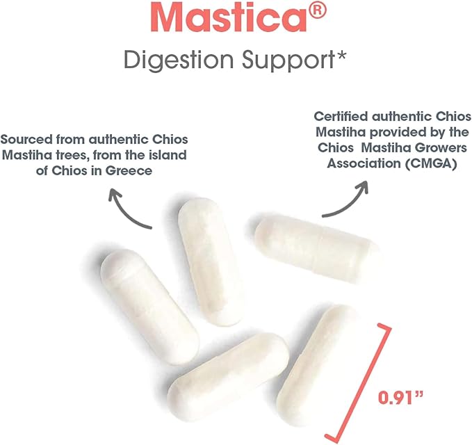 Allergy Research Group Mastica - Mastic Gum Capsules Digestive Health Supplement for Adults Mastic Resin Powder Capsules for Gut Health Support - 240 Count