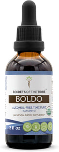 Secrets of the Tribe Boldo USDA Organic | Alcohol-Free Extract High-Potency Herbal Drops | Made from 100% Certified Organic Boldo (Peumus boldus) Dried Leaf (2 oz)
