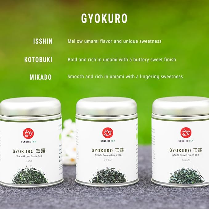 Senbird Premium Gyokuro - Japanese Shade Grown Green Tea - From Kyoto Japan - Imperial Loose Leaf Green Tea In Airtight Tea Tin (1.76oz/50g) (Isshin)