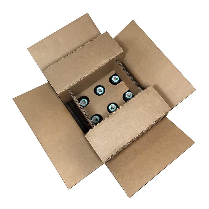 Spot Beverage™ Premium Classic Bottled Soda Brands (12-Pack Jarritos Mandarin)