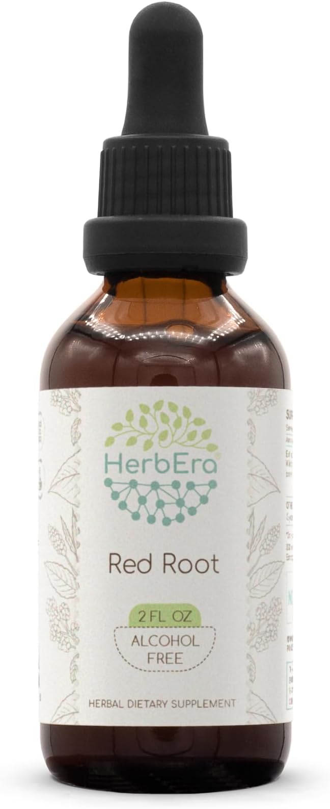 HerbEra Red Root B60 Alcohol-Free Herbal Extract Tincture Super-Concentrated (New Jersey Tea Ceanothus Americanus) 2 fl oz