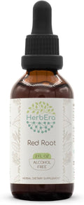 HerbEra Red Root B60 Alcohol-Free Herbal Extract Tincture Super-Concentrated (New Jersey Tea Ceanothus Americanus) 2 fl oz