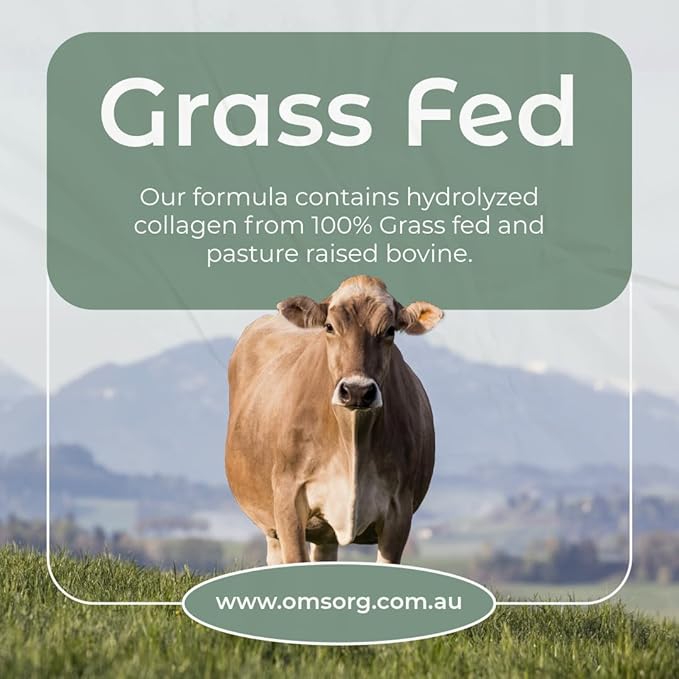 OMSORG Grass-Fed Hydrolyzed Bovine Collagen Peptides Powder 454g | 15g per Serve | Mango Passion |Gluten Free | Keto | Halal | Non GMO | Hair Skin Nails Joints &amp Gut | Sugar Free