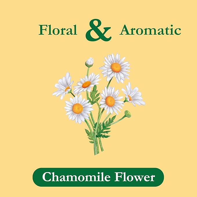 Tadin Chamomile Tea Herbal Tea Caffeine Free Tea Tea Bags Individually Wrapped 24 Tea Bags Per Box Pack of 6