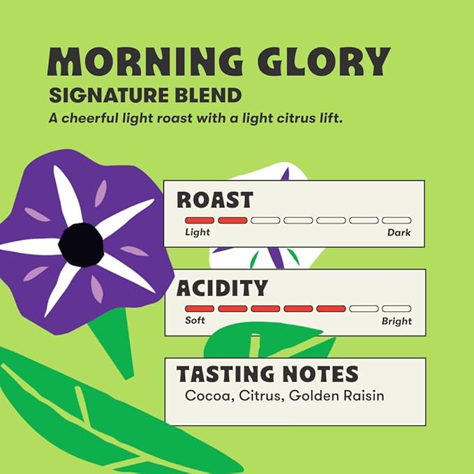Peace Coffee Morning Glory Signature Blend Light Roast Whole Bean Coffee 12 oz Pack of 3 Organic Fair Trade Smooth Mild Flavor Shade Grown Fresh Roasted