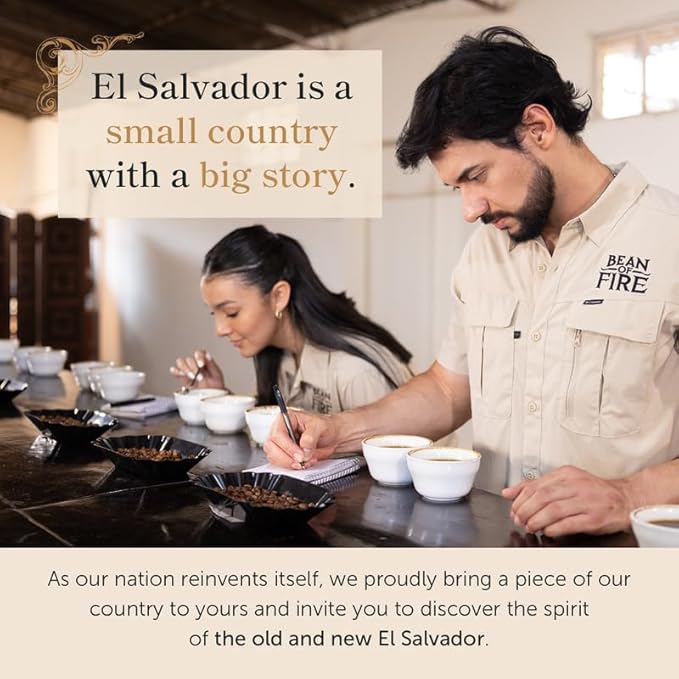 Bean of Fire El Salvador Red Bourbon Washed Ground Coffee – Medium Roast Single Origin Specialty Smooth &amp Fruity Cup (16 oz)
