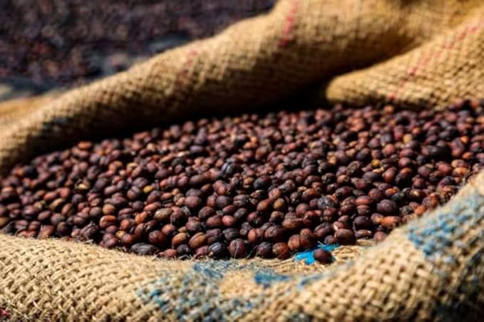 Ethiopian Yirgacheffe | Single Origin Arabica Coffee | Ground 2lbs 1-Pack