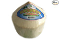 Fresh Young Coconut (Aroma Young Coconut) - Pack of 6
