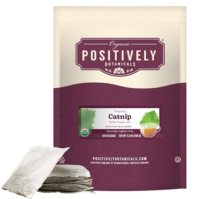 Organic Positively Botanicals Company Catnip Herbal Tea Bags 100 Count Eco-Friendly Tea Bags Non-GMO