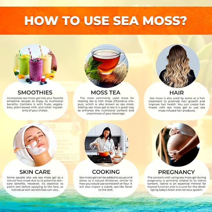 WELLNESS LABSRX Irish Sea Moss Gel Raw - Wildcrafted Superfood Seamoss Gel - Pineapple Mango Flavor Vitamin and Mineral-Rich from Pristine Caribbean Waters - 10 oz.