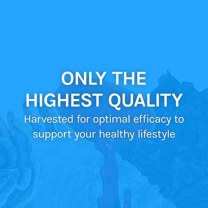 Host Defense Breathe* Capsules - Immune &amp Respiratory Support Mushroom Supplement - Herbal Lung Health Supplement with Chaga Reishi &amp Cordyceps - 30 Capsules (15 Servings)* (Pack of 2)