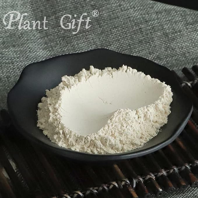 Plant Gift 100% Pure Angelica Dahurica Powder 白芷粉 Natural Angelica Flour Dong Quai Root Powder for Drinks Adds Flavor and Taste Non-GMO Powder No Filler No additives 100G/3.25oz