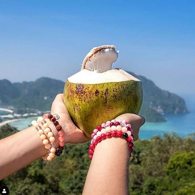 Taste Nirvana Real Coconut Water Coco Pulp with Tender Coconut Bits 9.5 Oz Pack of 12